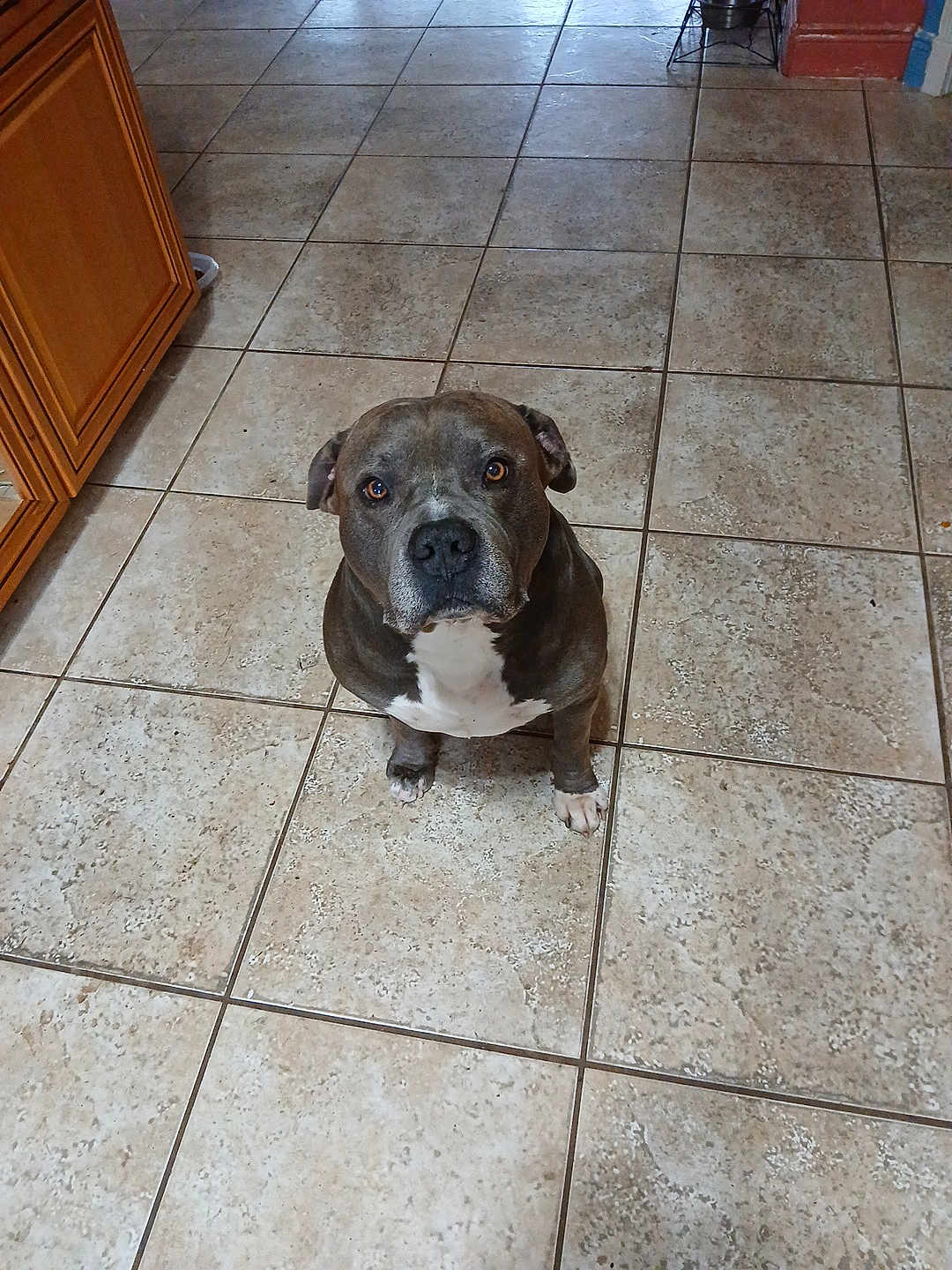 Nugget