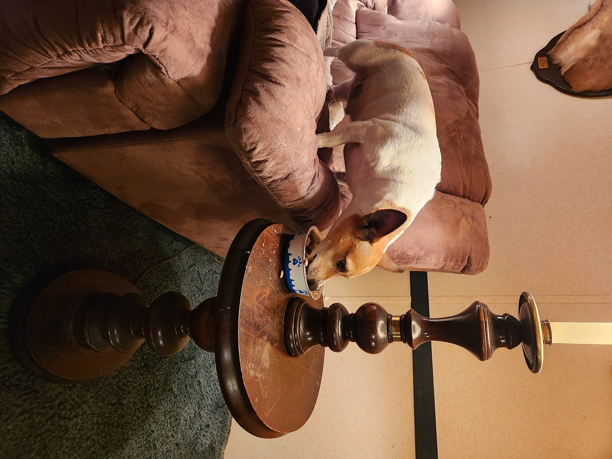 Petey joined the competition — help win amazing prizes! acoustic_guitar, arm, art, artifact, ceiling, cross, eyewear, guitar, human_body, human_leg, metal, musical_instrument, plucked_string_instruments, room, sculpture, shadow, still_life_photography, string_instrument, visual_arts, wood