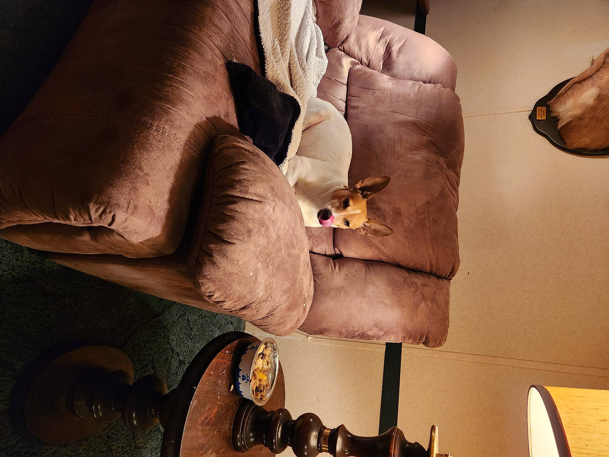 Petey is registered to the contest to win money with this photo: art, bird, comfort, design, eyewear, fashion, fashion_accessory, gesture, human_leg, interior_design, lighting, room, shoe, textile, tints_and_shades, visual_arts, wall, wing, wood, wrist