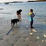 Nougat participe au concours pour gagner de l'argent avec cette photo : beach, casual_clothing, child, dog, footprints, leisure, nature, outdoor, pets, play, recreation, reflection, sand, shore, shoreline, sky, sunlight, tide, vacation, water