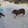 animal, beach, casual_clothing, child, coast, daytime, dog, harness, nature, outdoor, playful, rocks, running, sand, shadow, shoreline, sky, sunlight, trees, water