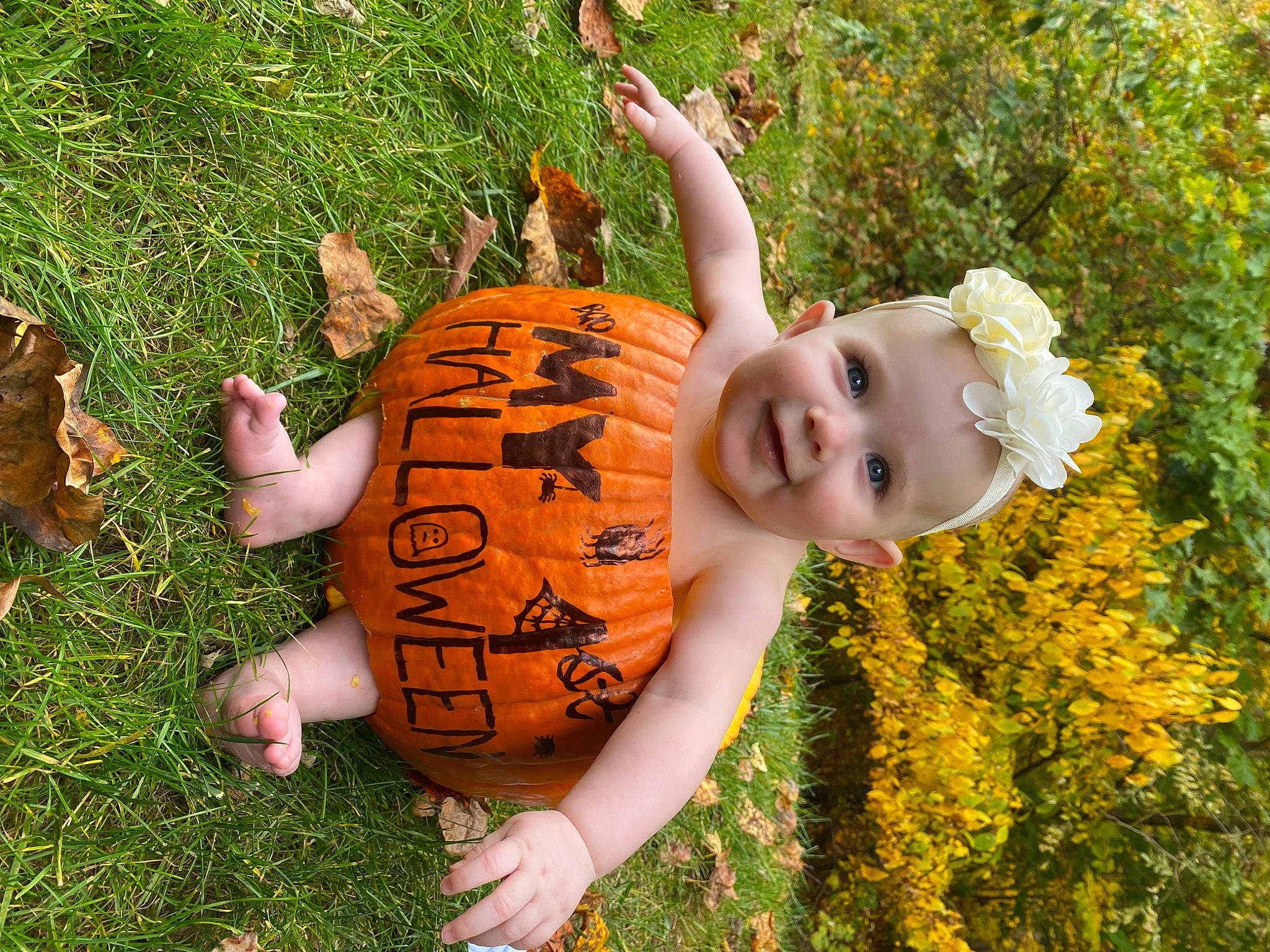 Ellamae is registered to the contest to win money with this photo: child, doll, fawn, fun, garden, grass, grass_family, happy, head, joy, lawn, lawn_ornament, leisure, people_in_nature, person, plant, pumpkin, smile, toddler, toy
