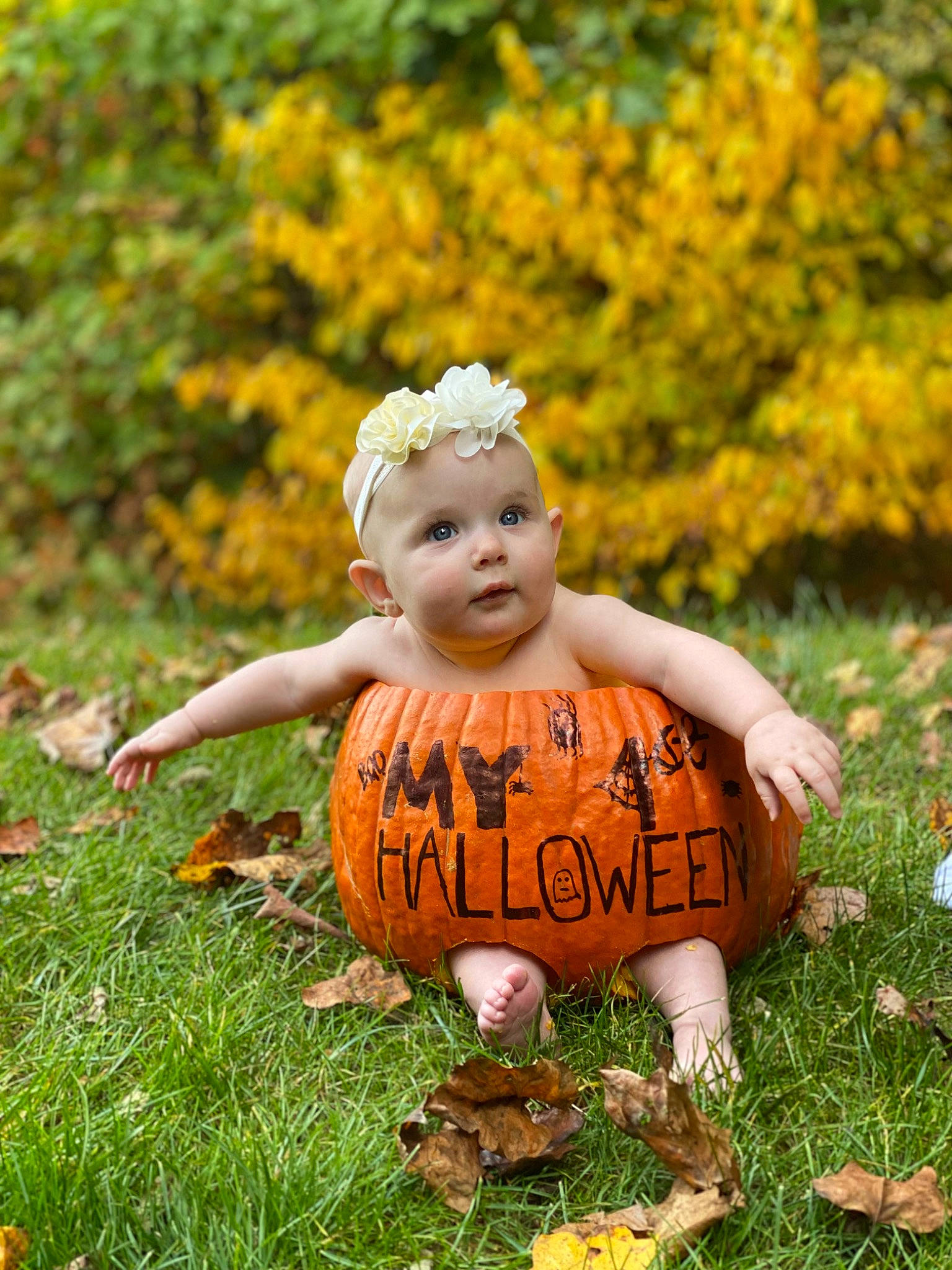 Ellamae joined the competition — help win amazing prizes! autumn, baby, baby_toddler_clothing, calabaza, child, deciduous, fawn, grass, happy, natural_landscape, orange, people_in_nature, person, plant, pumpkin, sitting, smile, toddler, tree, vegetable