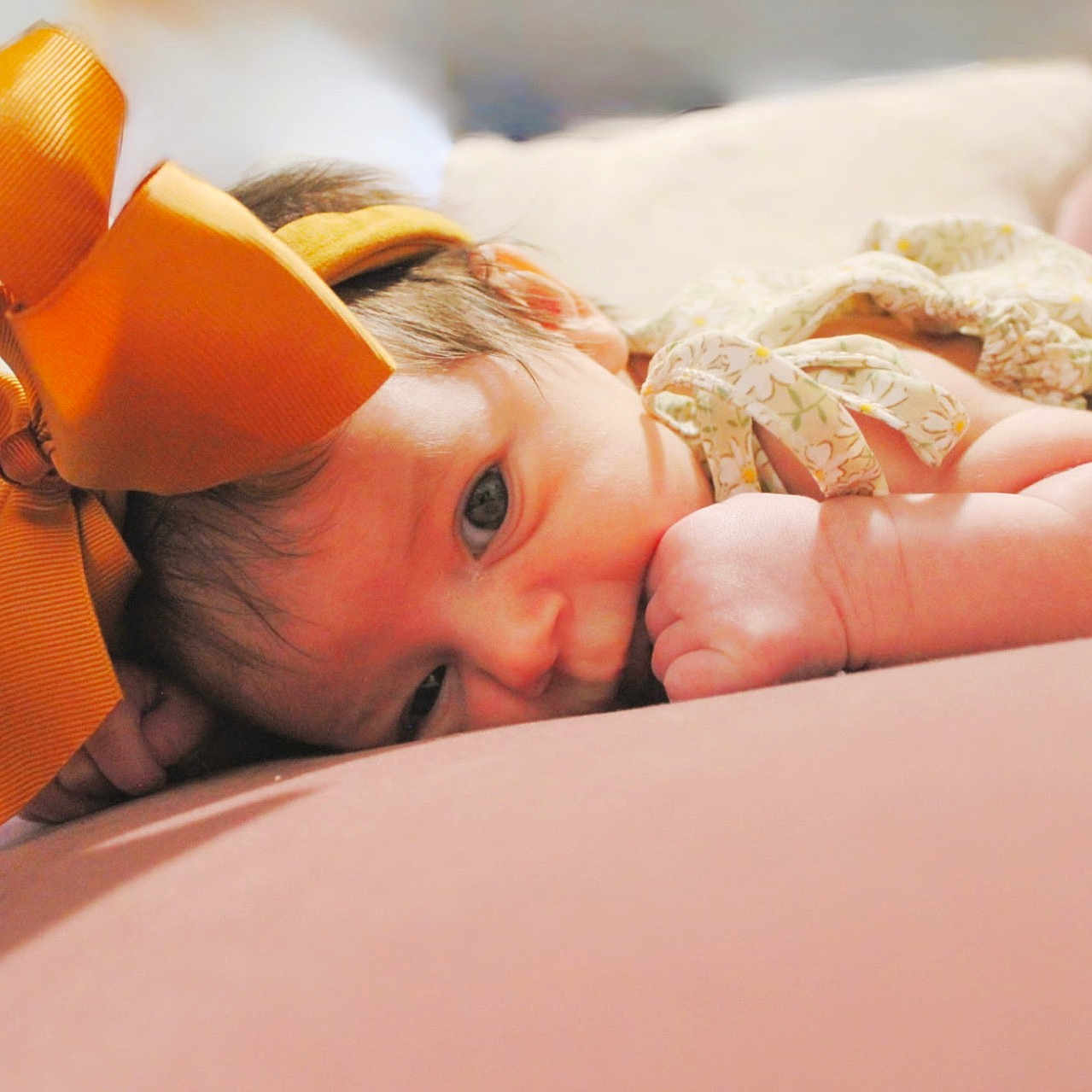 Willow