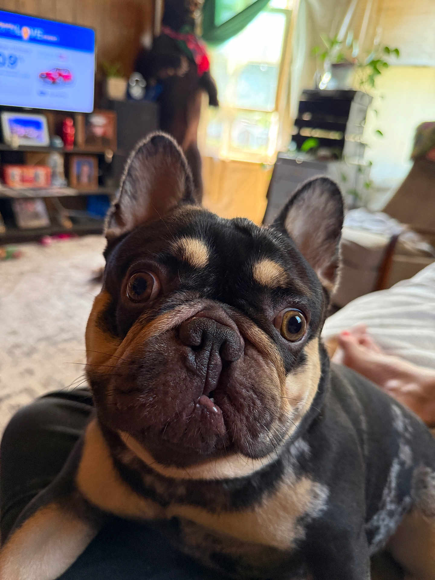 Remi