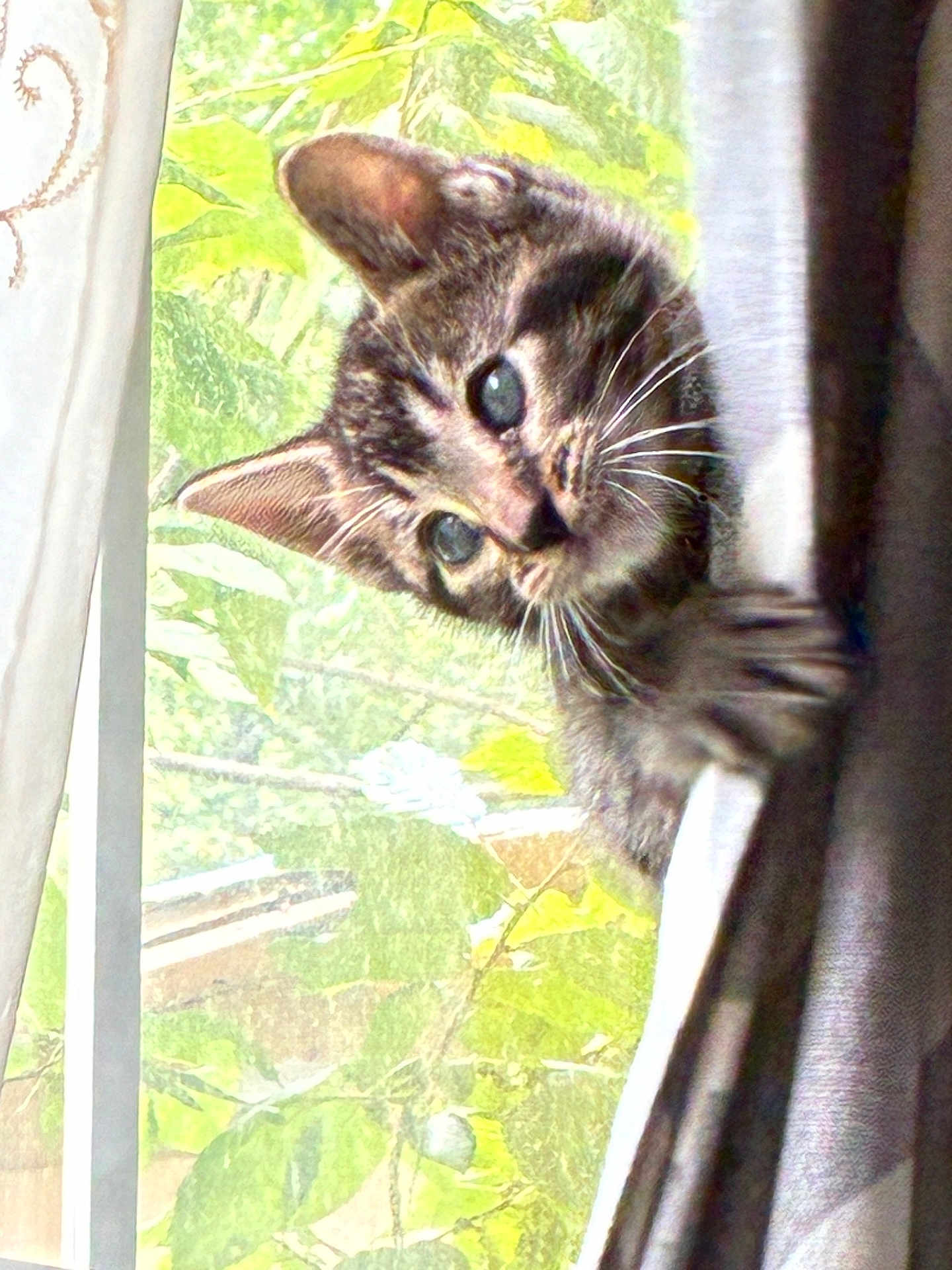 Rocky