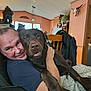man, dog, labrador, pet, cuddle, hug, smile, indoor, living_room, furniture, chair, blanket, home, person, canine, friendship, happy, brown_dog, casual, relaxation