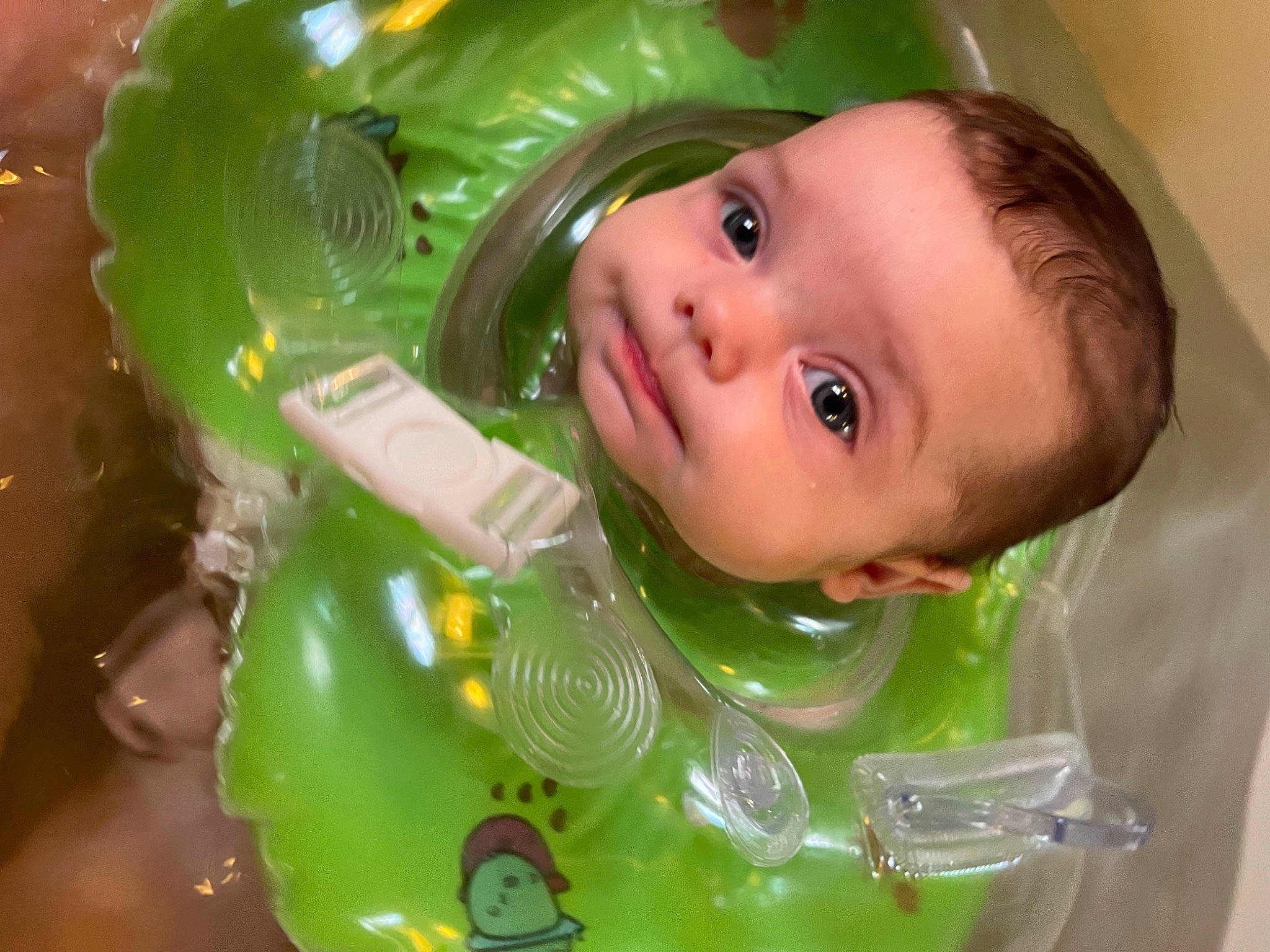 Harlow joined the competition — help win amazing prizes! baby, baby_products, baby_toys, bathing, cheek, child, comfort_food, drinkware, eyelash, fluid, fun, grass, green, happy, iris, nose, person, plastic, sweetness, toddler