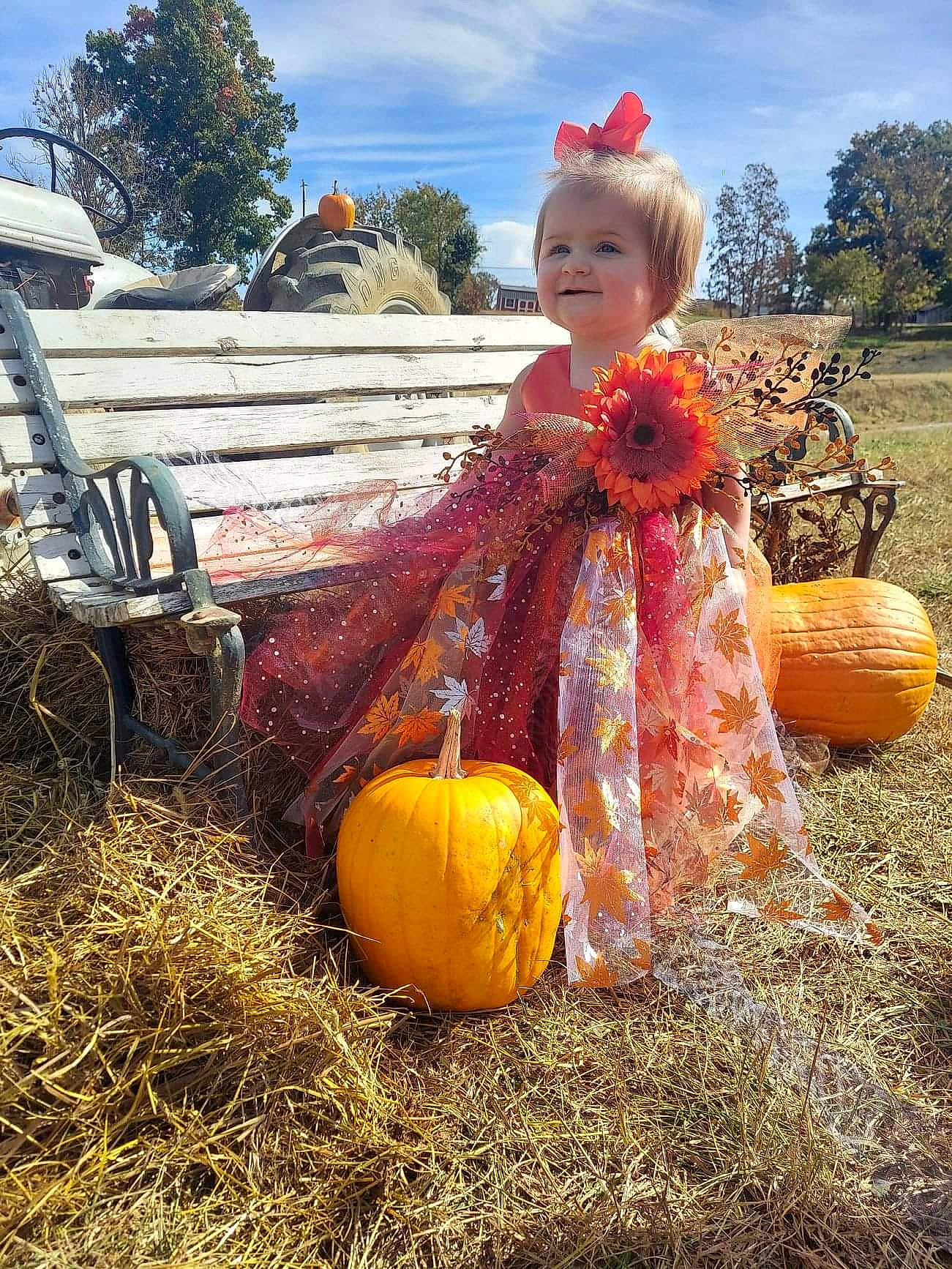 Riverlynn is registered to the contest to win money with this photo: agriculture, calabaza, cloud, cucurbita, dress, event, fruit, gourd, grass, hat, joy, natural_foods, people_in_nature, person, plant, pumpkin, sky, squash, toddler, tree