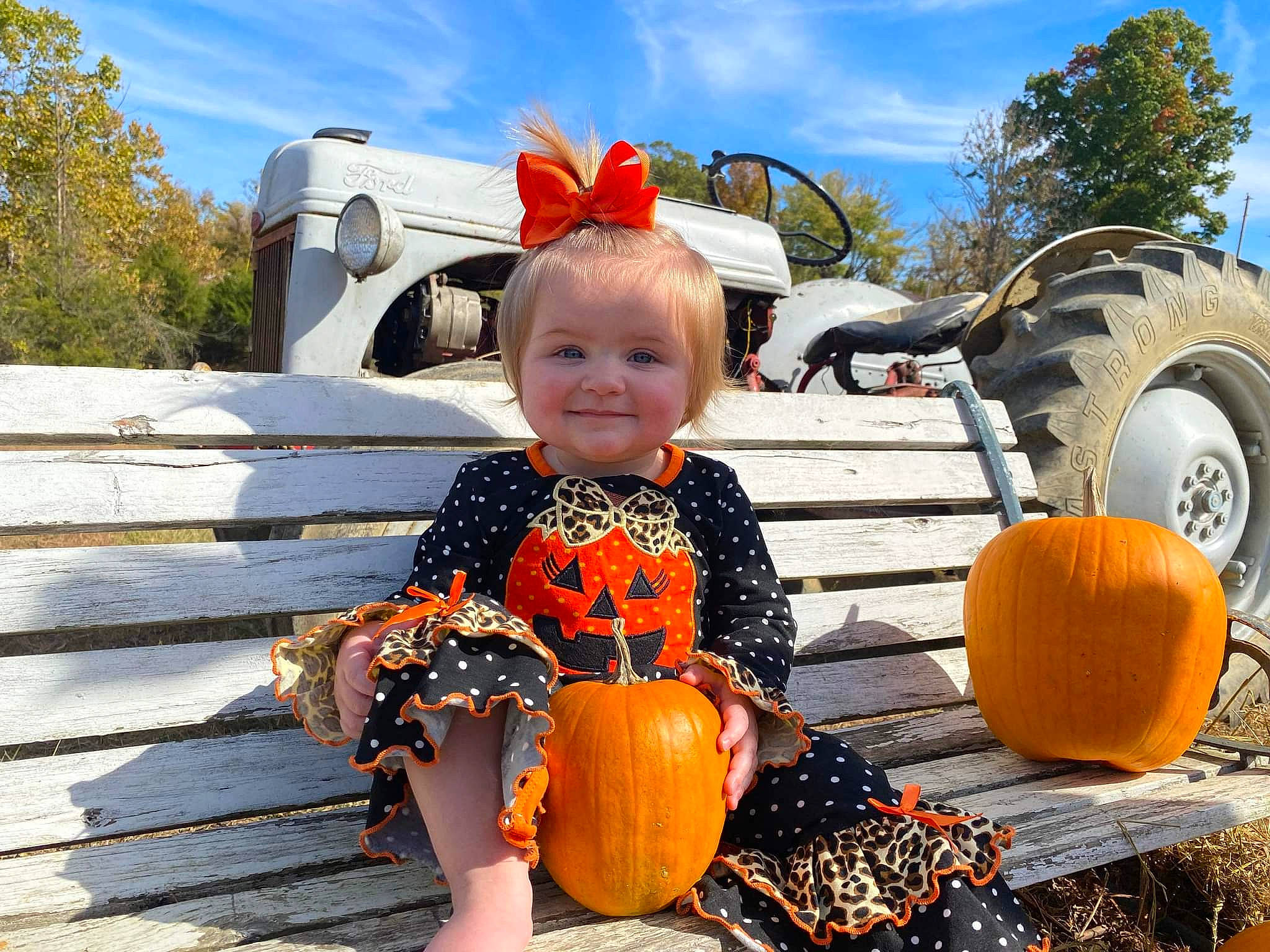 Riverlynn is registered to the contest to win money with this photo: baby_toddler_clothing, calabaza, cloud, cucurbita, fun, gourd, happy, joy, orange, people_in_nature, person, plant, pumpkin, sky, smile, squash, tire, toddler, tree, vegetable