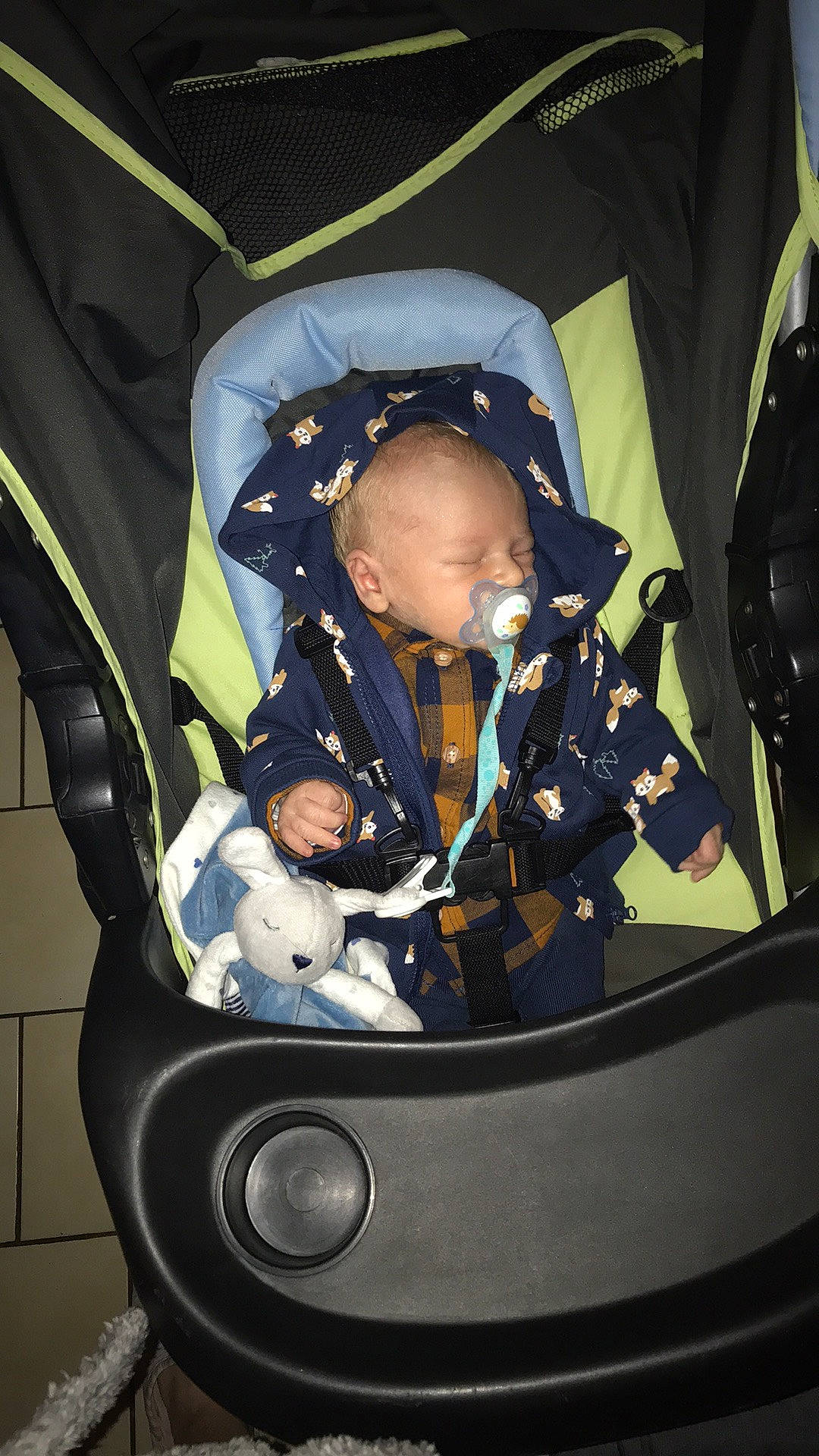 Oscar participe au concours pour gagner de l'argent avec cette photo : auto_part, baby, baby_carriage, baby_products, baby_safety, bag, car_seat, child, circle, comfort, eye, fun, person, personal_protective_equipment, plant, sitting, toddler