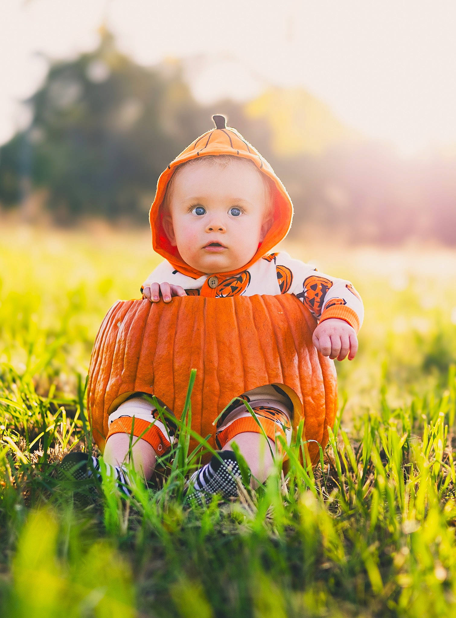 Nikolas is registered to the contest to win money with this photo: baby, baby_toddler_clothing, child, eye, field, grass, grassland, happy, head, landscape, leaf, meadow, natural_landscape, orange, people_in_nature, person, plant, prairie, sitting, skin