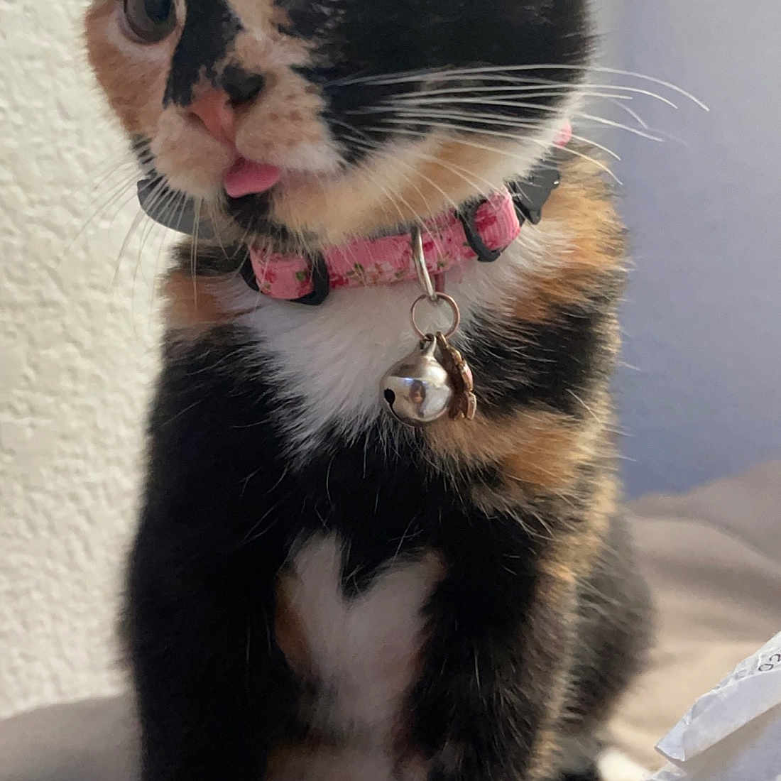 Nala