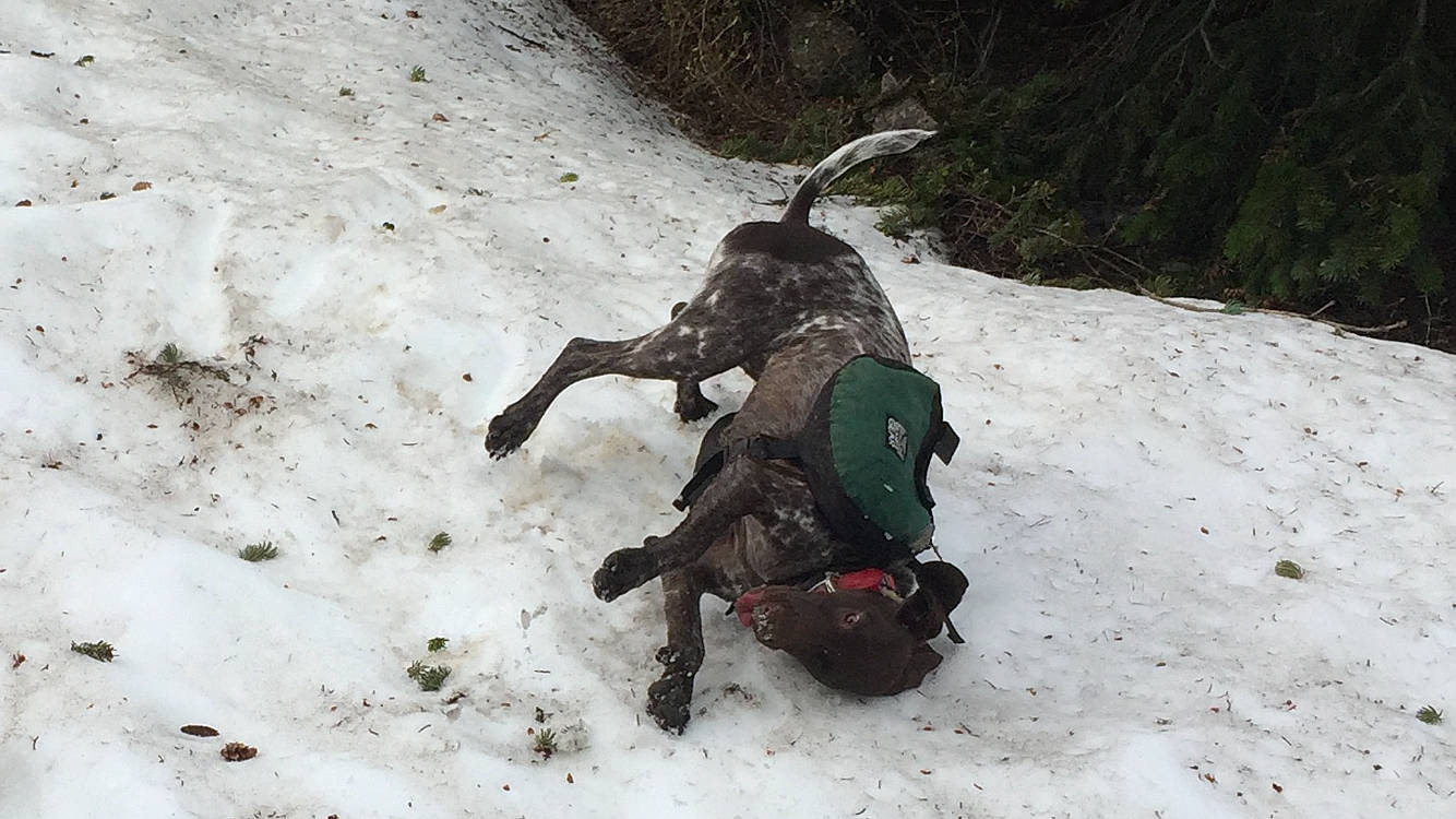 Elly is registered to the contest to win money with this photo: adventure, geological_phenomenon, recreation, snow, sporting_group