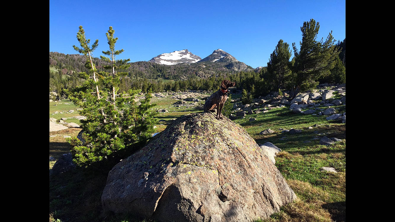 Elly is registered to the contest to win money with this photo: alps, batholith, boulder, forest, formation, geology, granite_dome, landscape, mountain, mountain_range, mountainous_landforms, national_park, natural_landscape, nature, outcrop, plant, ridge, rock, tree, wilderness