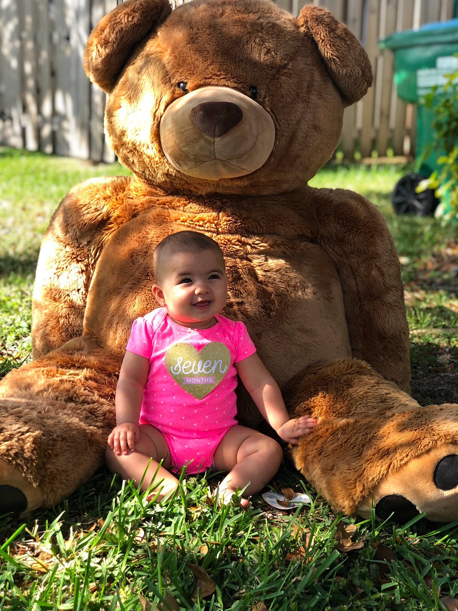 Anabelle is registered to the contest to win money with this photo: adaptation, art, botany, brown_bear, child, fun, garden, grass, happy, person, plant, smile, spring, teddy_bear, toddler, tree, world