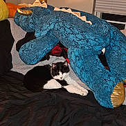 Odin joined the competition — help win amazing prizes! cat, black_and_white, sleeping, plush_toy, dinosaur, stuffed_animal, bed, blanket, indoor, cozy, resting, feline, soft_toy, window, curtains, fabric, relaxation, pets, comfort, home