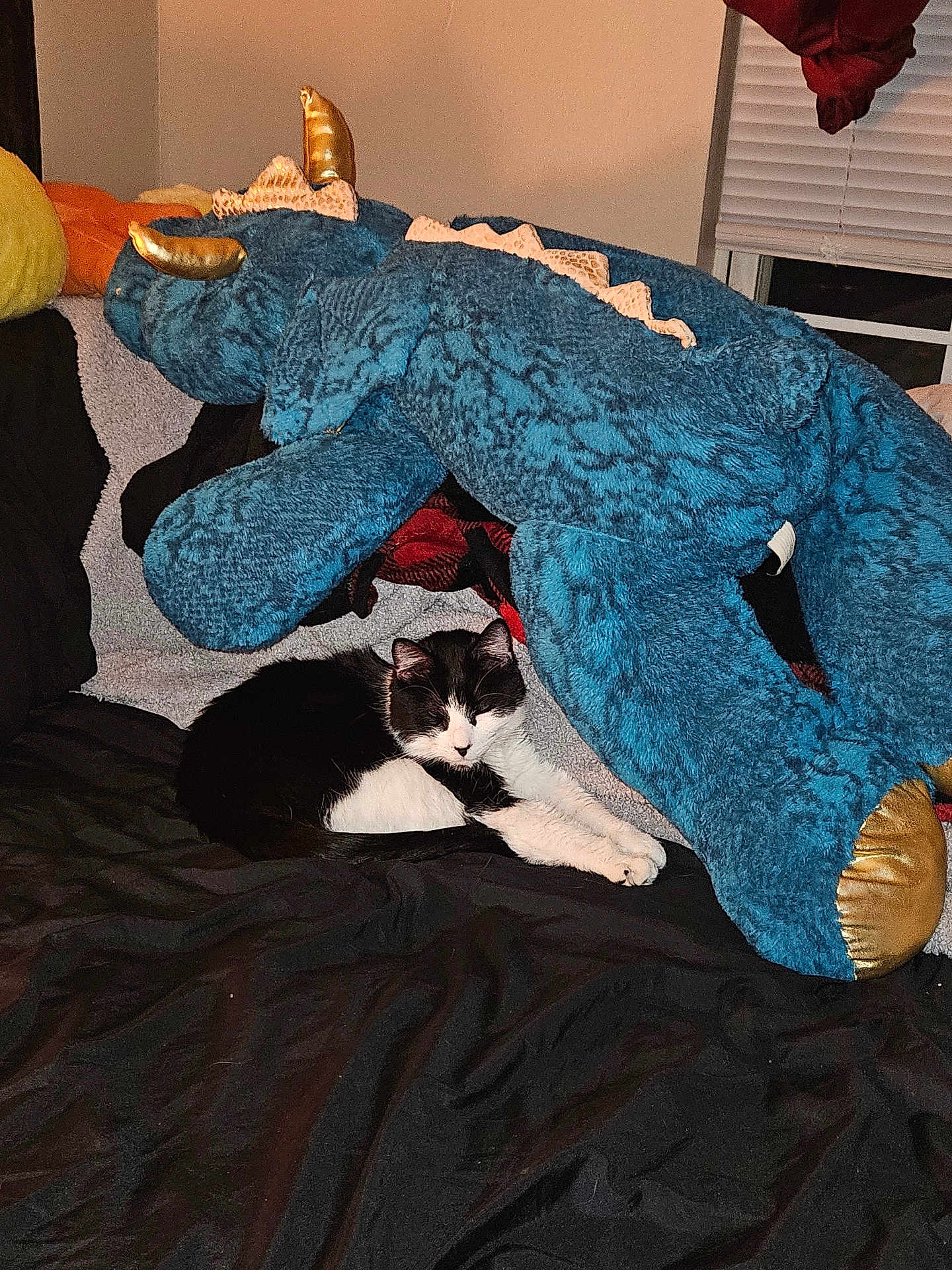 Odin joined the competition — help win amazing prizes! cat, black_and_white, sleeping, plush_toy, dinosaur, stuffed_animal, bed, blanket, indoor, cozy, resting, feline, soft_toy, window, curtains, fabric, relaxation, pets, comfort, home