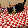 cat, black_cat, birthday_hat, colorful, collar, tablecloth, red_and_white, checkered, indoor, pet, animal, curious, feline, party, toy, small_objects, decorations, wall, sitting, tail