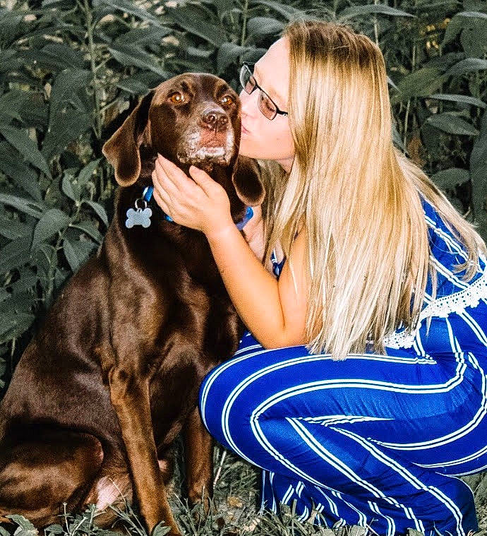 Bailey joined the competition — help win amazing prizes! canidae, carnivore, dog, dog_breed, dog_collar, german_longhaired_pointer, german_shorthaired_pointer, german_spaniel, hunting_dog, liver, mammal, pointer, pointing_breed, sporting_group, vertebrate