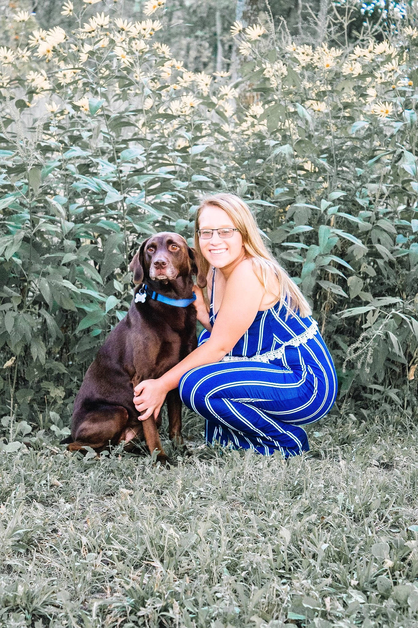 Bailey joined the competition — help win amazing prizes! canidae, carnivore, dog, dog_breed, fawn, grass, photography, pointing_breed, sporting_group, tree, vizsla, weimaraner