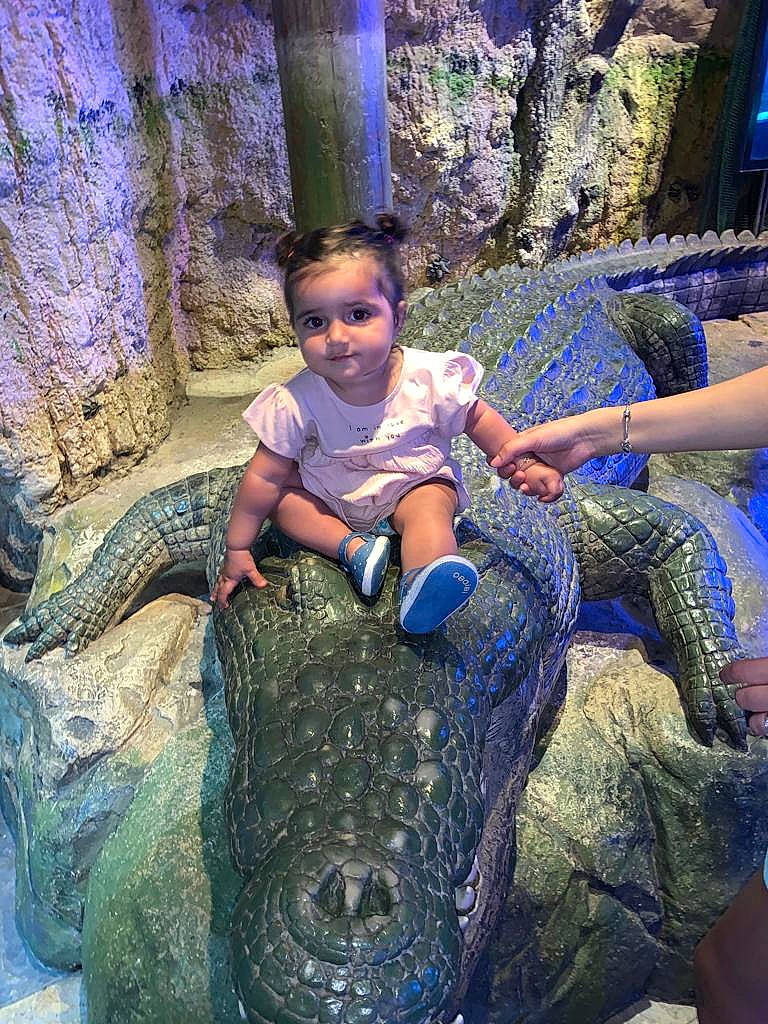 Alia participe au concours pour gagner de l'argent avec cette photo : adaptation, alligator, american_alligator, american_crocodile, beauty, blue, crocodile, electric_blue, fun, happy, leisure, nature, organism, person, purple, reptile, toddler, trunk, vertebrate, wood