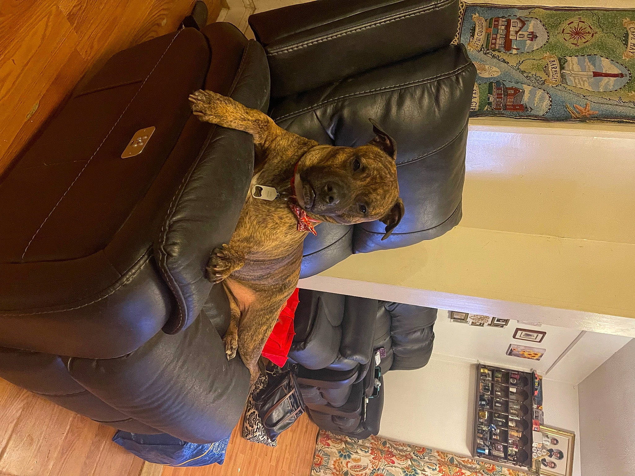 Java is registered to the contest to win money with this photo: bag, baggage, boot, comfort, flooring, glove, hat, helmet, luggage_and_bags, metal, military, military_camouflage, military_person, outdoor_shoe, personal_protective_equipment, room, shelf, visual_arts, wood