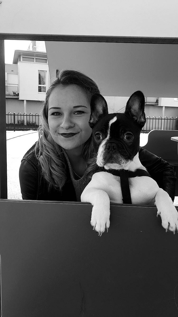 Osky a rejoint le concours — aidez-le/la à gagner de superbes lots ! black, black_and_white, boston_terrier, canidae, carnivore, companion_dog, dog, dog_breed, ear, fawn, french_bulldog, joy, mammal, non_sporting_group, person, photography, puppy, rat_terrier, snapshot, snout