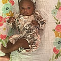 Dionasia B.