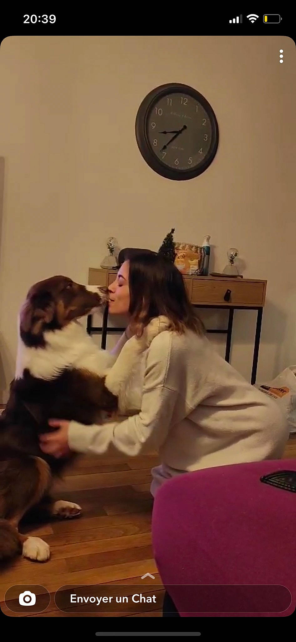 Scotty participe au concours pour gagner de l'argent avec cette photo : carnivore, clock, comfort, companion_dog, dog, dog_breed, event, flooring, fun, fur, guard_dog, home_accessories, room, sitting, spaniel, sporting_group, toy, working_dog