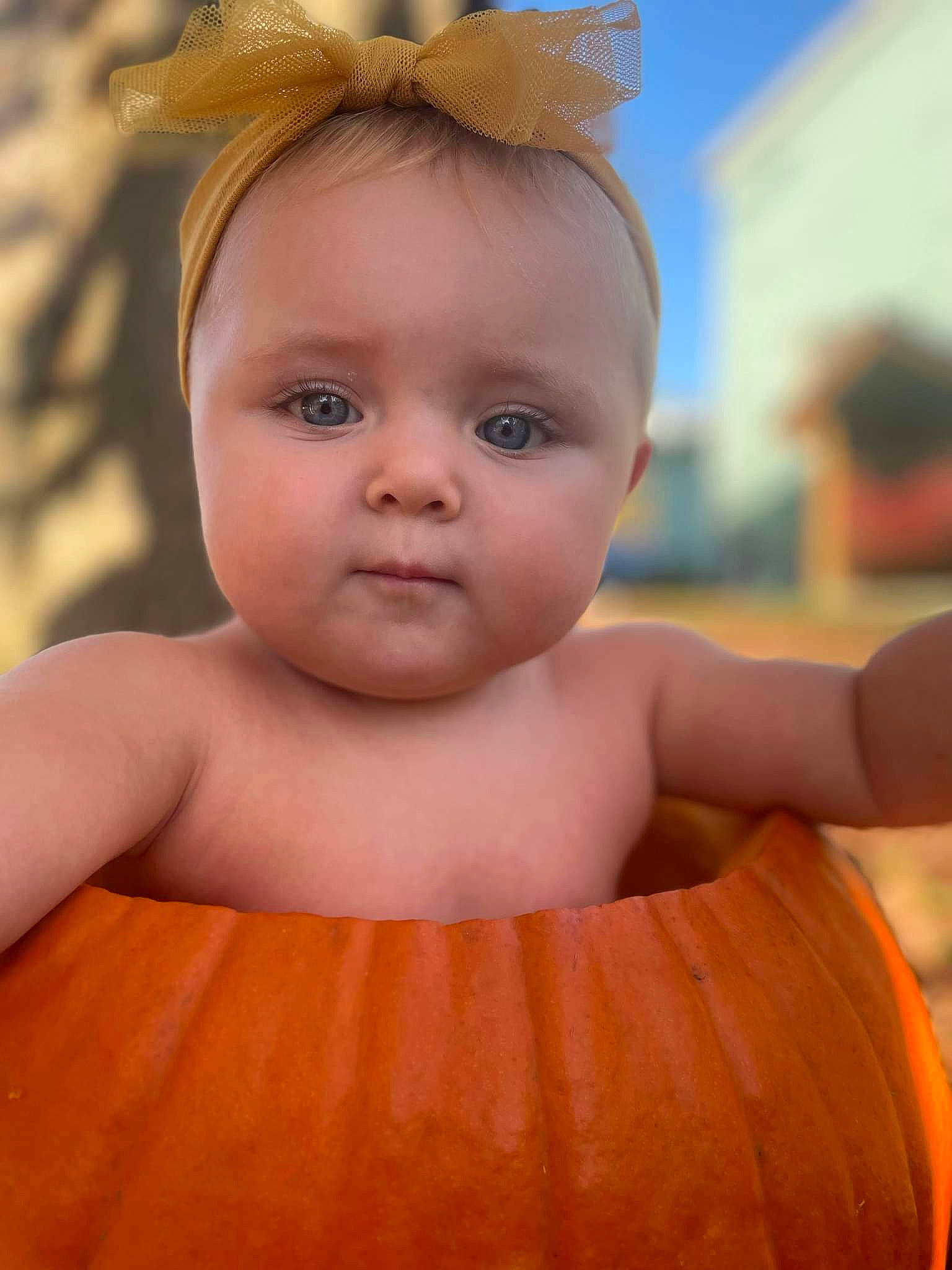 Molly joined the competition — help win amazing prizes! arm, cheek, chin, eyebrow, eyelash, facial_expression, finger, hairstyle, hand, happy, head, iris, lip, muscle, neck, nose, organ, person, product, shoulder