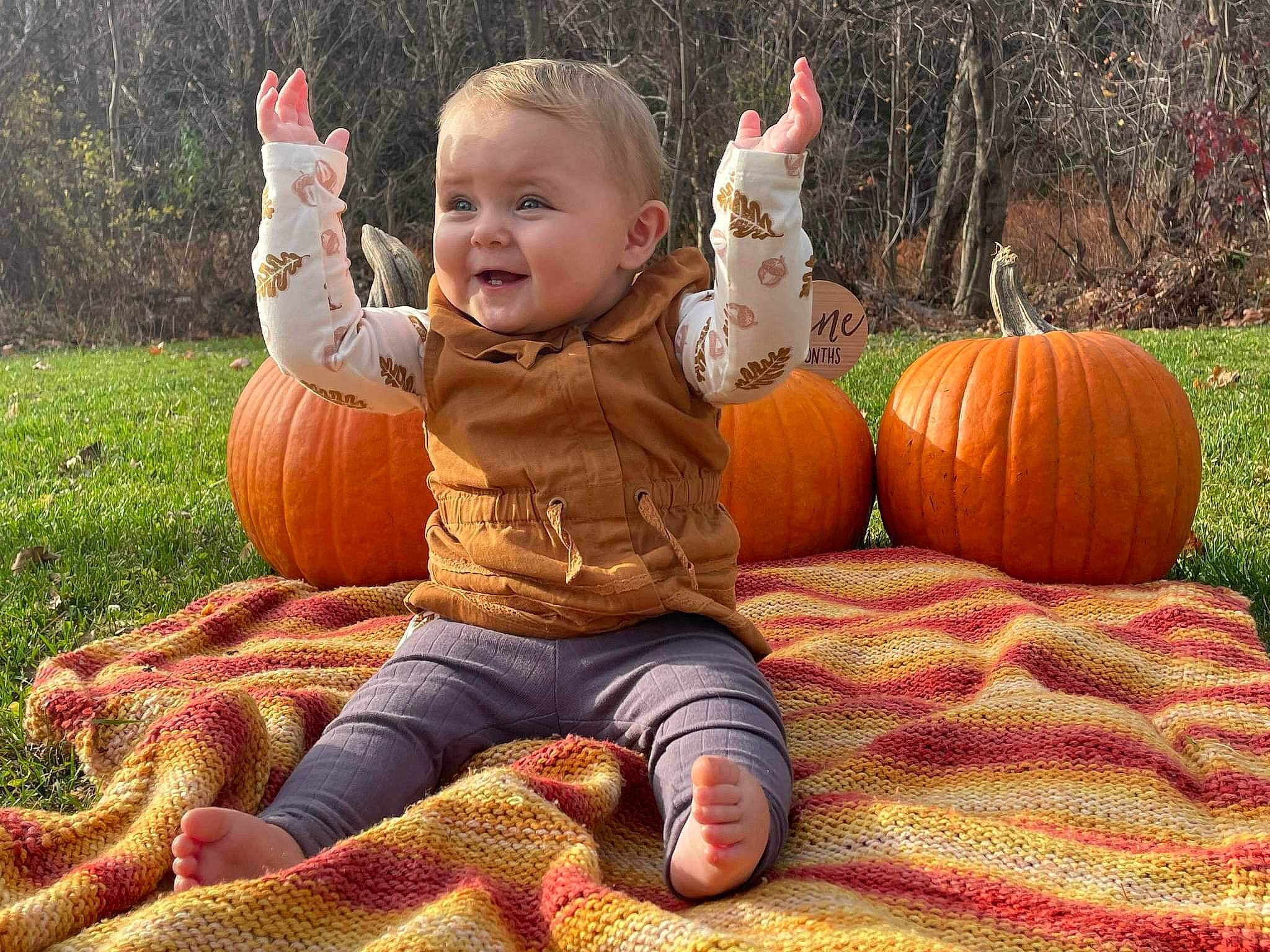 Molly is registered to the contest to win money with this photo: calabaza, cucurbita, eye, facial_expression, gourd, happy, head, human_body, jeans, leaf, orange, organ, people_in_nature, person, plant, pumpkin, smile, squash, toddler, tree