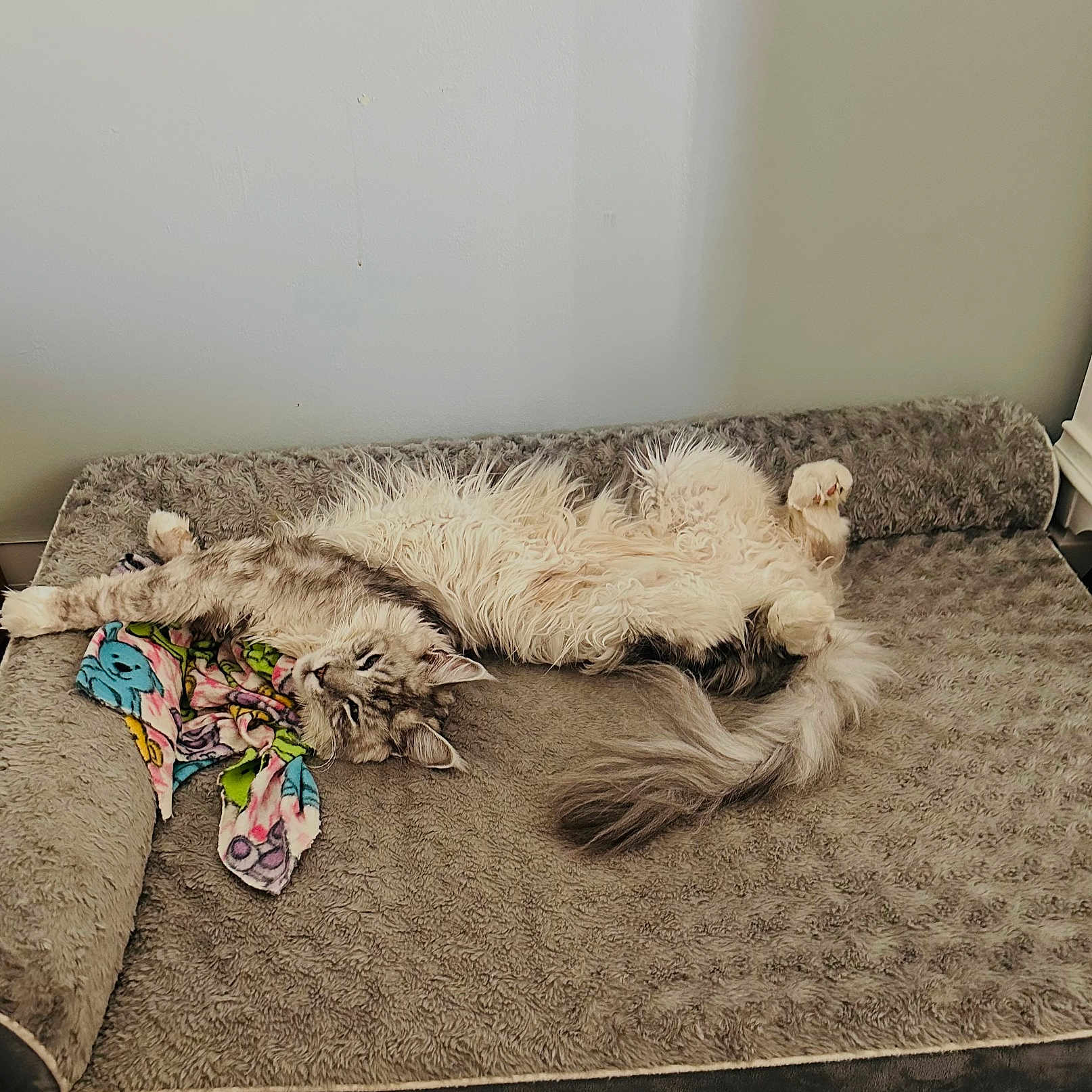Oliver