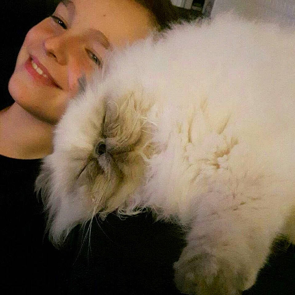 Mandchury a rejoint le concours — aidez-le/la à gagner de superbes lots ! canidae, carnivore, companion_dog, dog, dog_breed, eye, fashion_accessory, fawn, feather, felidae, fur, paw, small_terrier, small_to_medium_sized_cats, smile, sporting_group, tail, terrier, toy_dog, whiskers