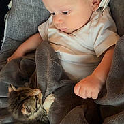 Naël a rejoint le concours — aidez-le/la à gagner de superbes lots ! baby, infant, kitten, cat, blanket, gray_blanket, white_clothing, curious, cute, cozy, indoor, soft_texture, toddler, pet, animal, child, young, face, small, resting