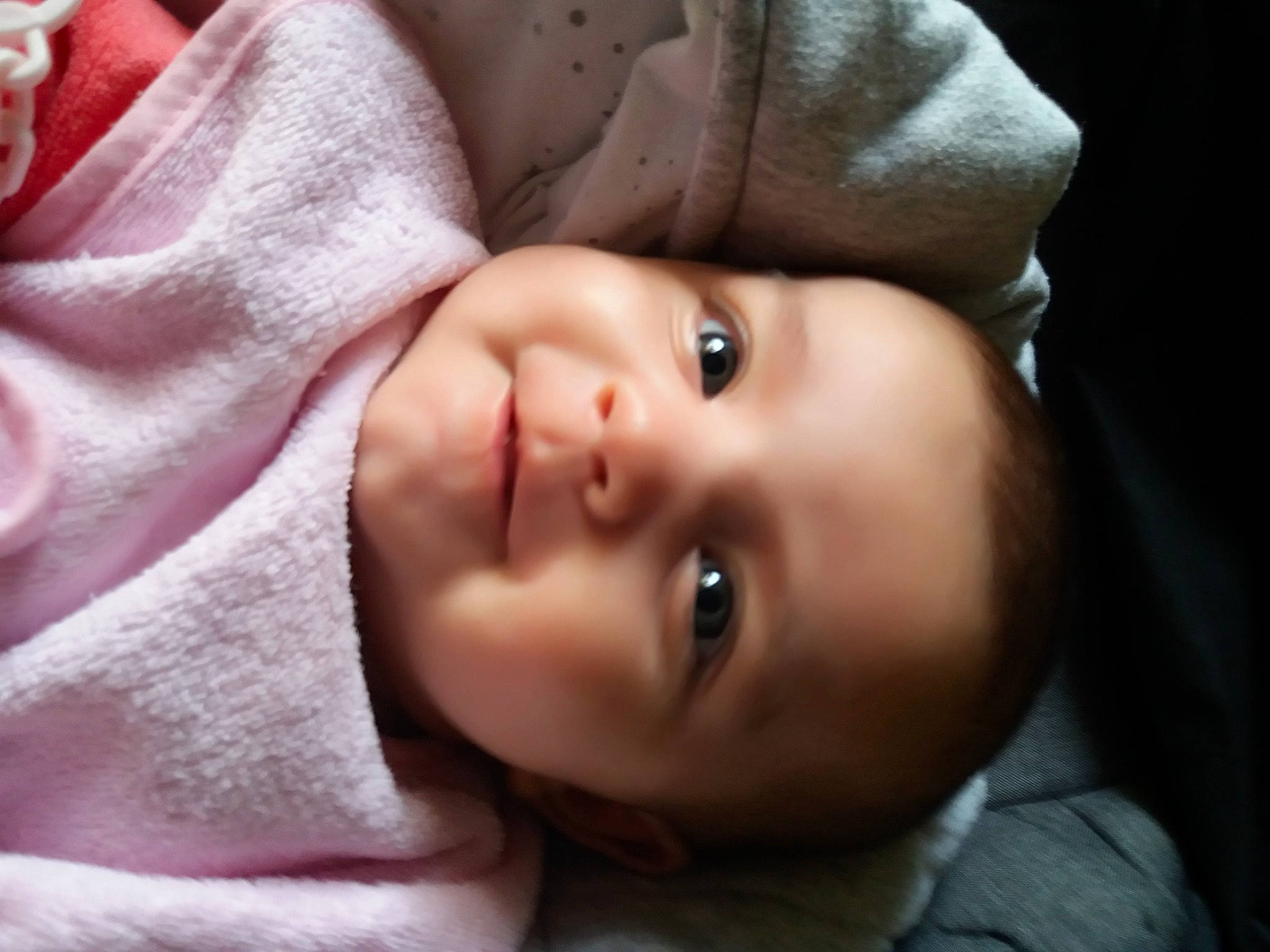 Camillia a rejoint le concours — aidez-le/la à gagner de superbes lots ! baby, baby_toddler_clothing, cheek, child, chin, comfort, eyebrow, eyelash, flash_photography, grass, happy, iris, joy, lip, mouth, nose, person, portrait_photography, skin, sleeve