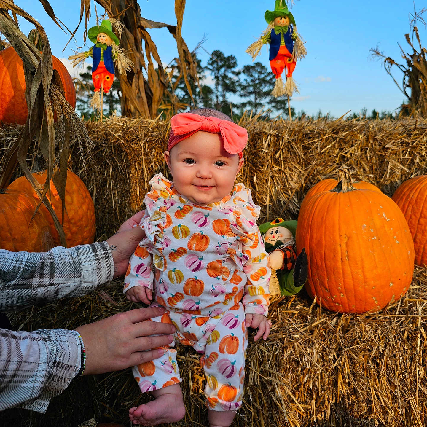 Magnolia joined the competition — help win amazing prizes! baby, clothing, countryside, face, farm, food, harvest, hat, head, nature, outdoors, person, photography, plant, portrait, produce, pumpkin, rural, squash, vegetable