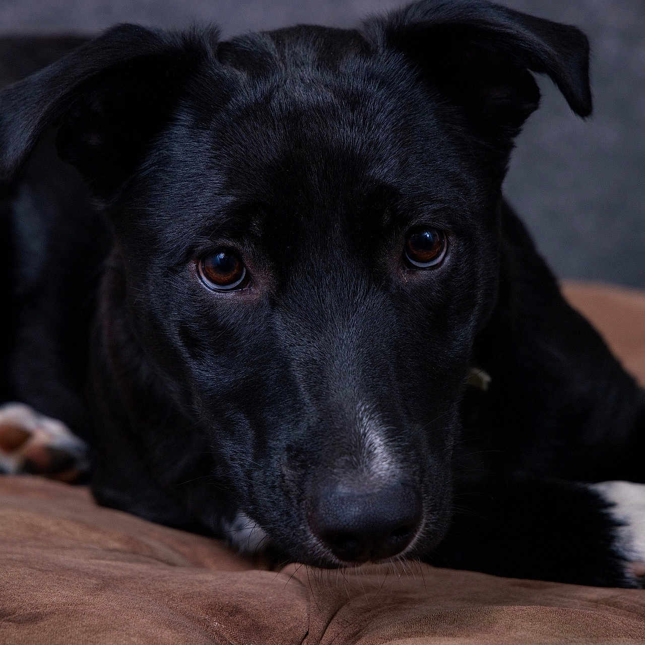 Sophie