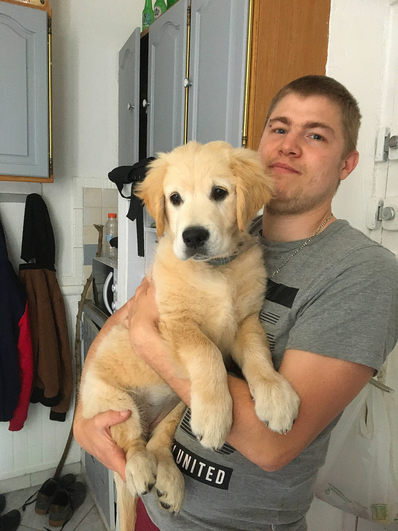 Baïka participe au concours pour gagner de l'argent avec cette photo : canidae, carnivore, chinook, companion_dog, dog, dog_breed, fawn, golden_retriever, labrador_retriever, mammal, puppy, puppy_love, retriever, snout, sporting_group, vertebrate