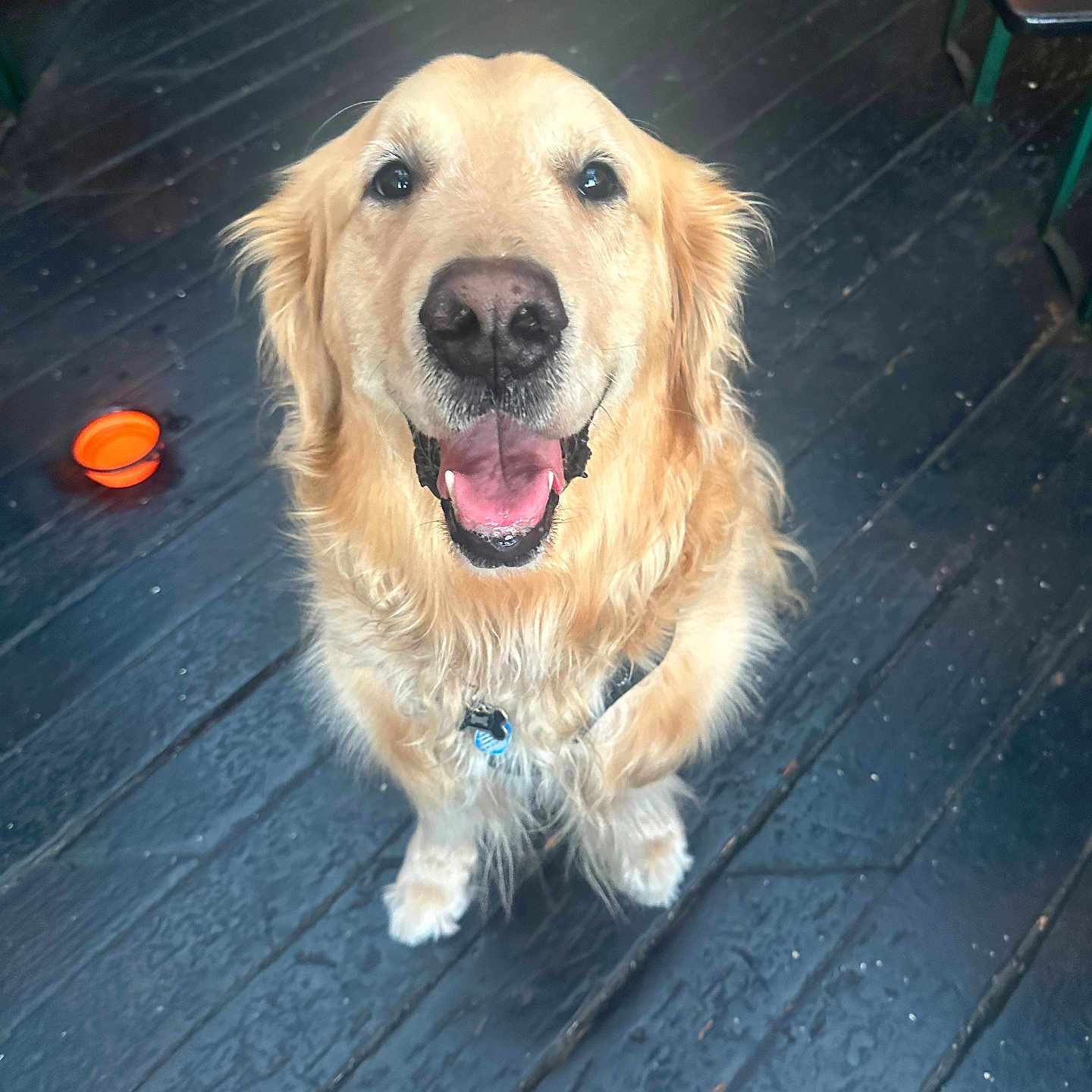 Jack