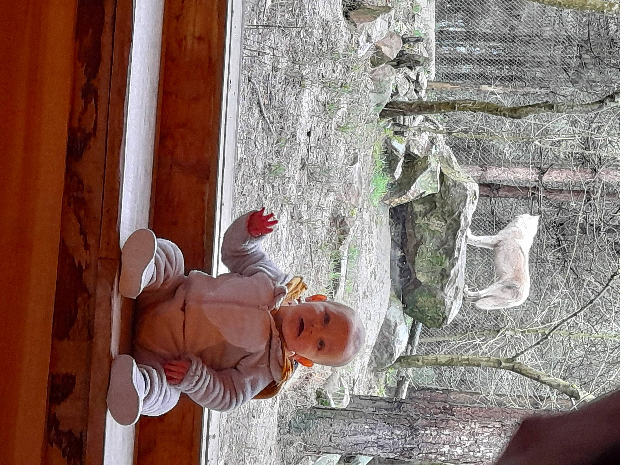 Lenzo a rejoint le concours — aidez-le/la à gagner de superbes lots ! adventure, art, concrete, door, facade, hat, helmet, person, plant, recreation, rock, trunk, visual_arts, wall, wood