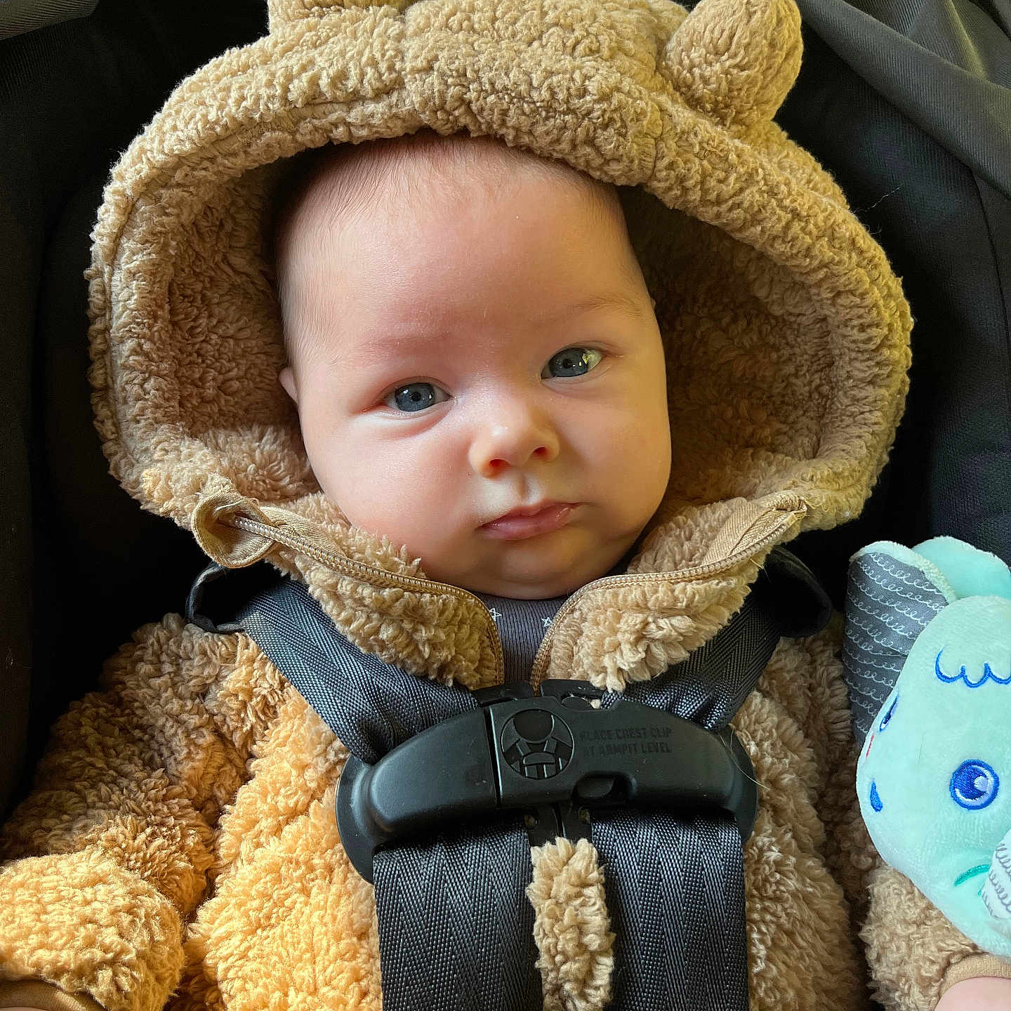 Augustine is registered to the contest to win money with this photo: baby, bonnet, cap, car, car_interior, carseat, clothing, face, gun, hat, head, hood, knitwear, person, photography, portrait, sweater, transportation, vehicle, weapon