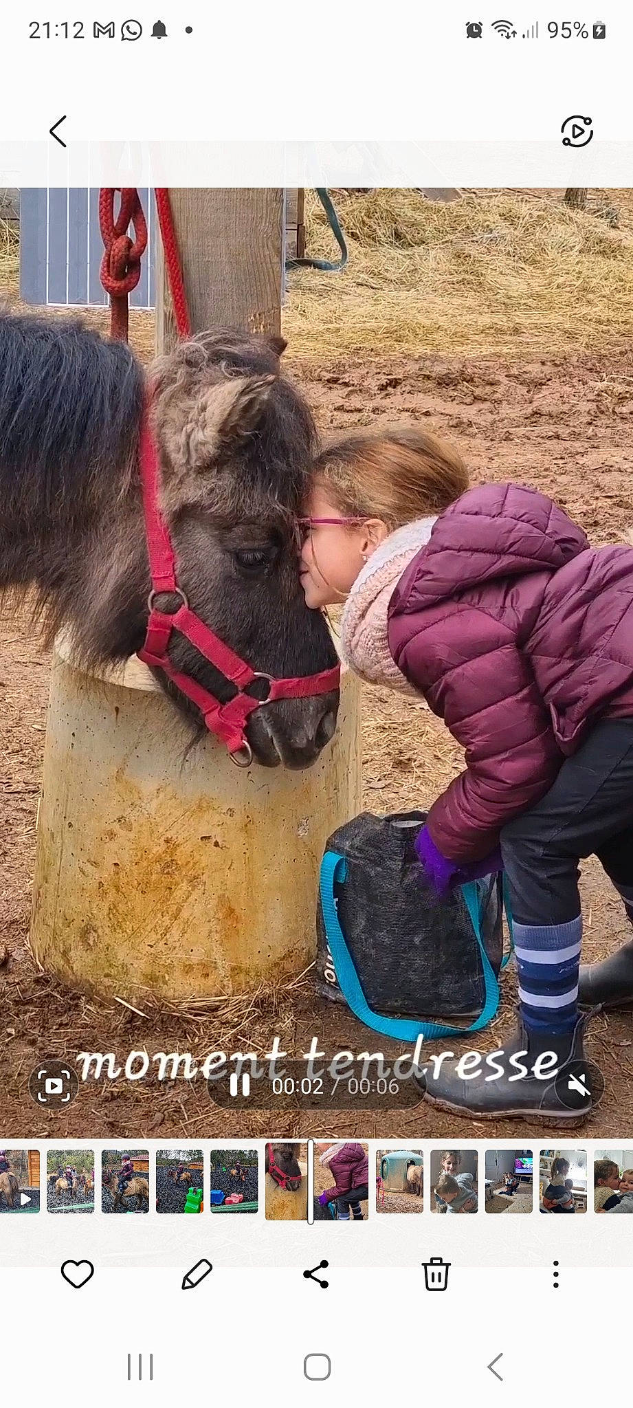 Leína a rejoint le concours — aidez-le/la à gagner de superbes lots ! adaptation, bovine, bridle, event, happy, horse, horse_supplies, horse_tack, human, landscape, livestock, mammal, mane, mare, pack_animal, people_in_nature, person, rein, shetland_pony, vertebrate