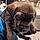 Buster