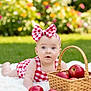 baby, infant, red_checkered_clothing, headband, bow, blanket, apples, basket, grass, outdoor, flower_garden, greenery, cute, portrait, child, summer, nature, curious, lying_down, bright