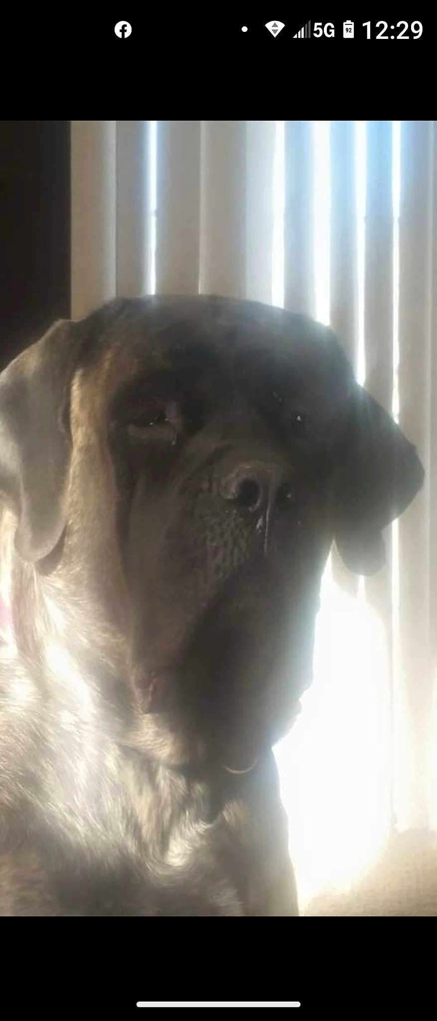 Maggie