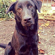 Jaïko participe au concours pour gagner de l'argent avec cette photo :