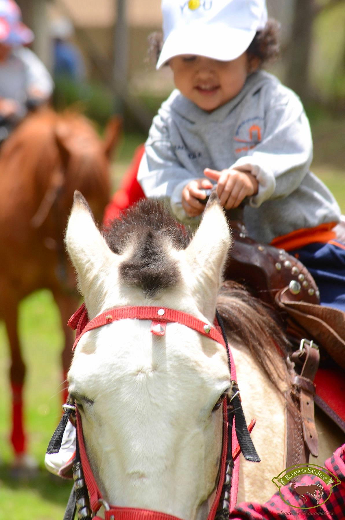 Barbara joined the competition — help win amazing prizes! bridle, child, equestrian, headgear, headwear, horse, horse_harness, horse_like_mammal, horse_tack, jockey, joy, pack_animal, person, rein, rodeo, snout, traditional_sport