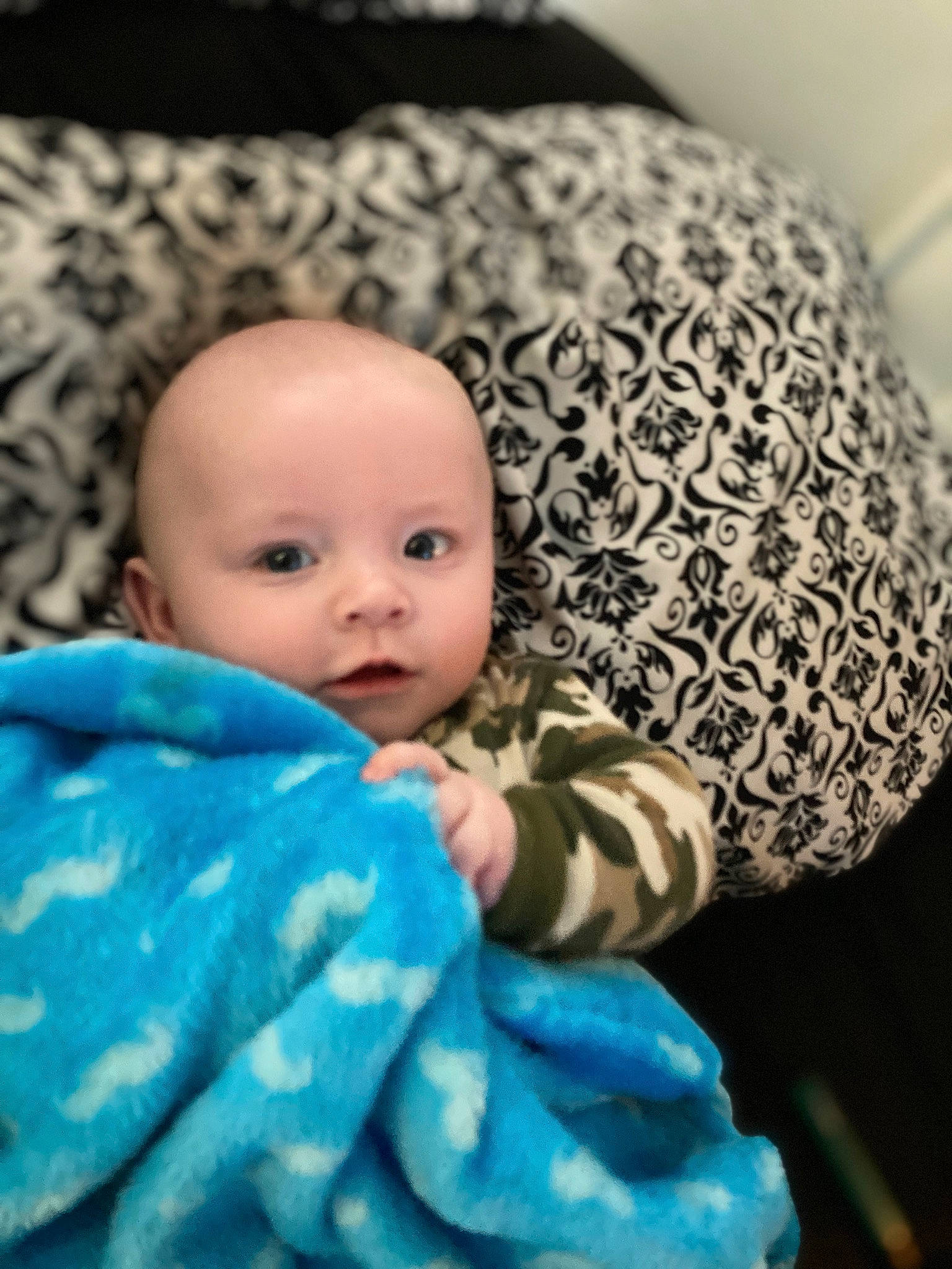 Micah joined the competition — help win amazing prizes! baby, beauty, cheek, child, chin, close_up, comfort, electric_blue, eye, eyebrow, fur, iris, knit_cap, linens, nose, person, skin, textile, toddler, toy