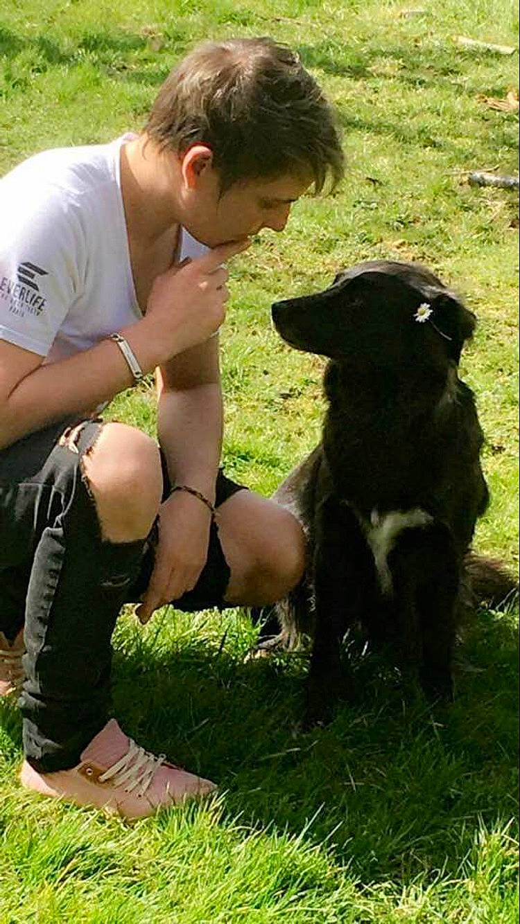 Molly a rejoint le concours — aidez-le/la à gagner de superbes lots ! boot, carnivore, clothing, companion_dog, dog, dog_breed, fun, glasses, grass, hat, leash, personal_protective_equipment, recreation, shorts, sunglasses, t_shirt, tail, thigh, toddler, working_animal